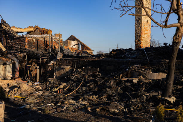 Reliable Content Restoration contractor in Newport, WA by Fire Damage Doption